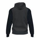 ACADEMY IV ZIP-UP HOODIE jakke  thumbnail